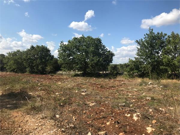 Land Colacurto Carovigno