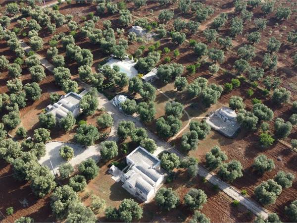 Le Site: Trulli and Lamie with swimming pool
