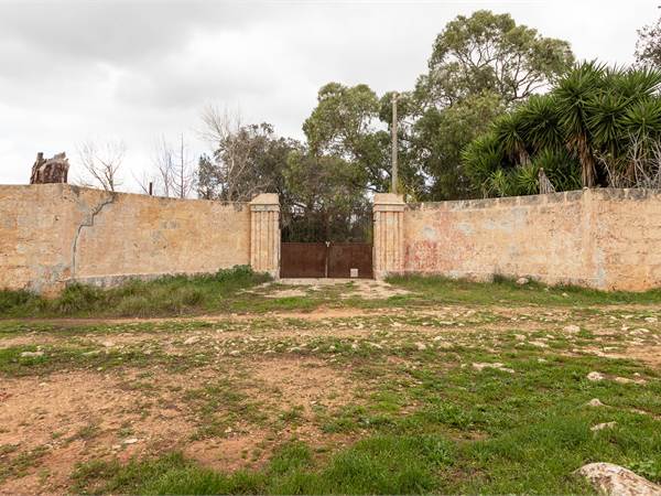 Antica Masseria Immersa nella Campagna  