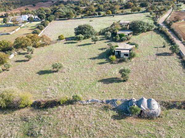 Green Forest Land with Trulli and Cottages